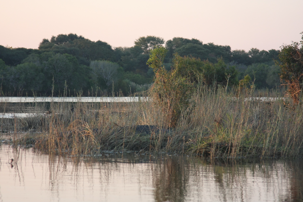 [28575] 2016_07_02_11_34_00_Africa_Canon_EOS_40D_IMG__00176.jpg