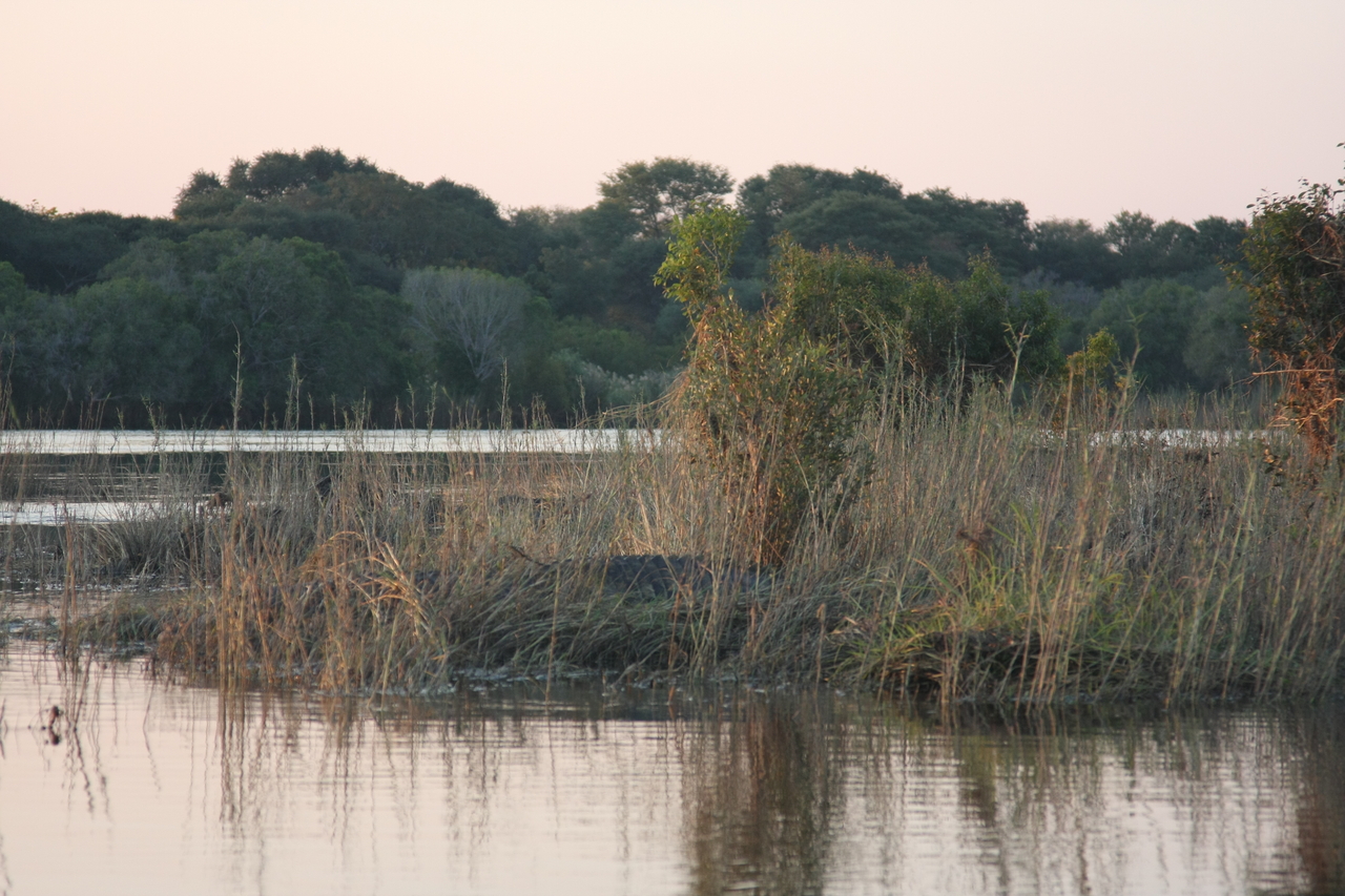 [28580] 2016_07_02_11_34_00_Africa_Canon_EOS_40D_IMG__12167.jpg