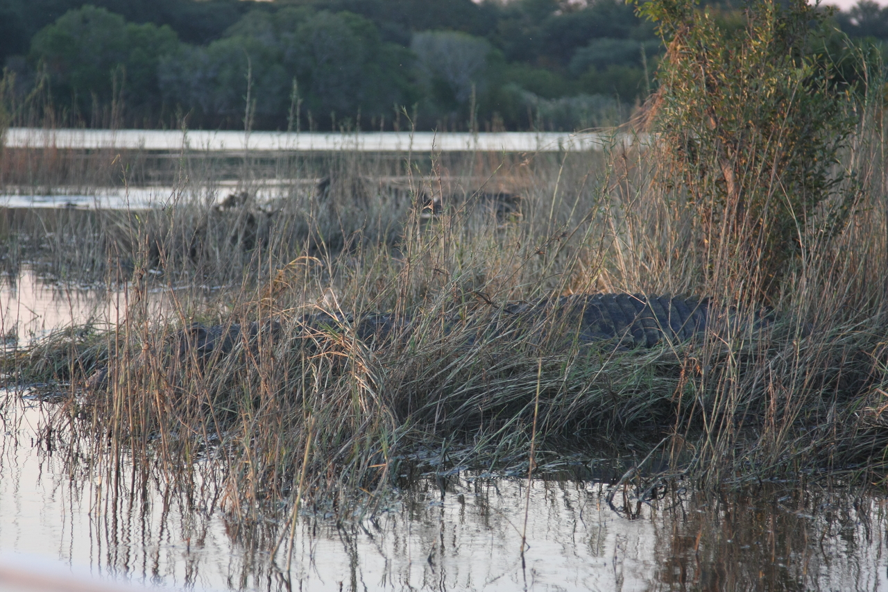 [28594] 2016_07_02_11_34_48_Africa_Canon_EOS_40D_IMG__00184.jpg
