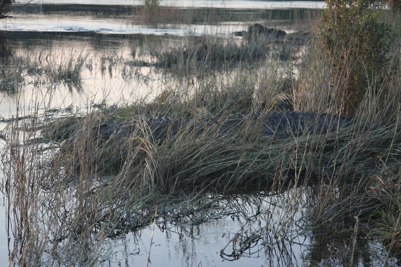 [28599] 2016_07_02_11_35_35_Africa_Canon_EOS_40D_IMG__00185.jpg