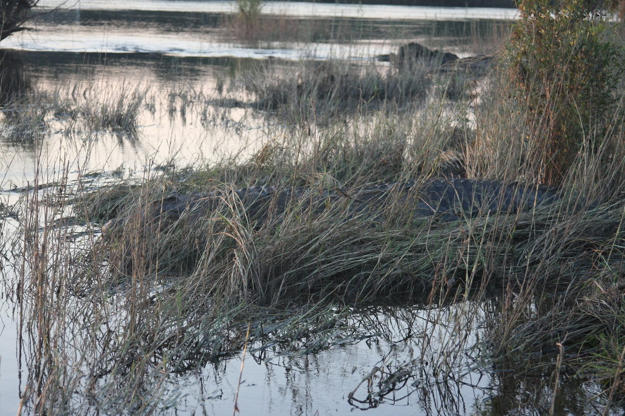 [28601] 2016_07_02_11_35_35_Africa_Canon_EOS_40D_IMG__00187.jpg