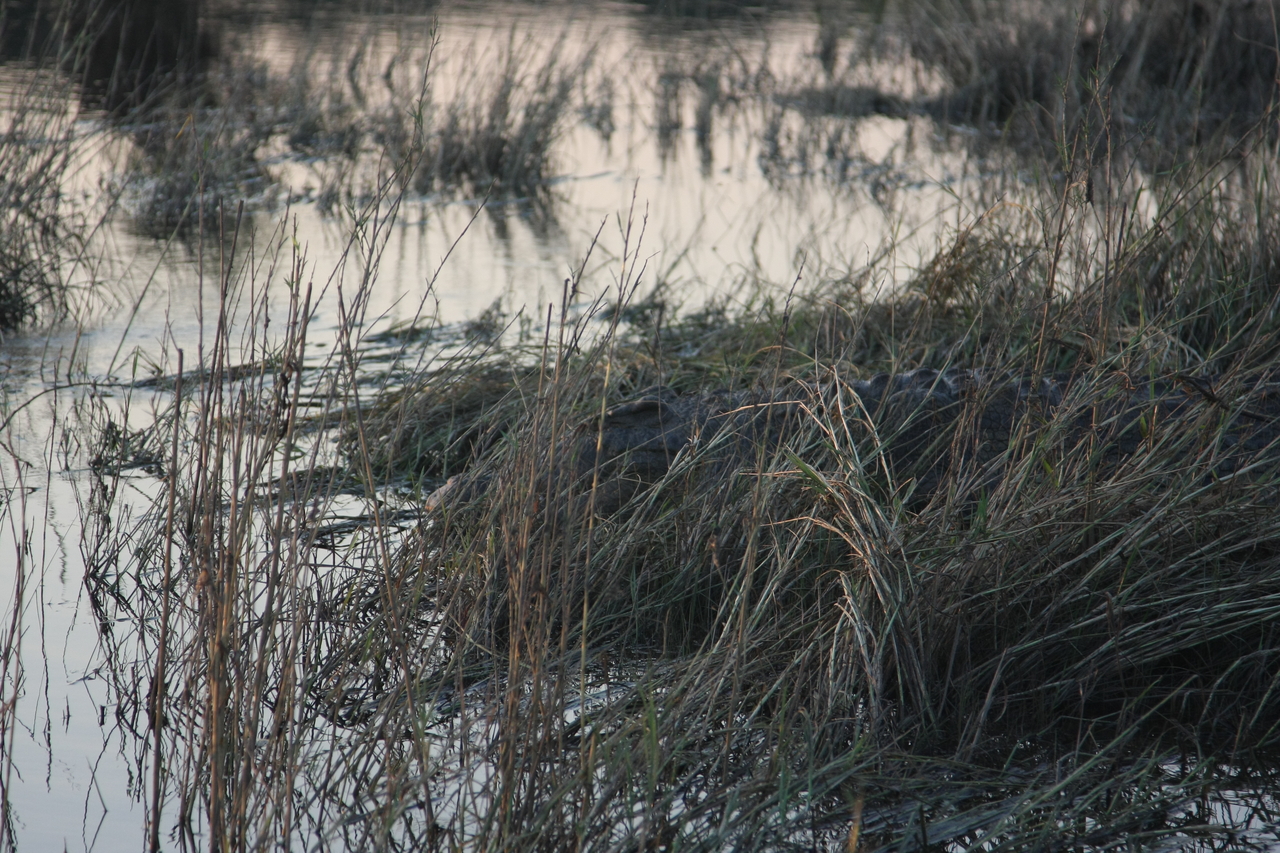 [28608] 2016_07_02_11_35_39_Africa_Canon_EOS_40D_IMG__00188.jpg