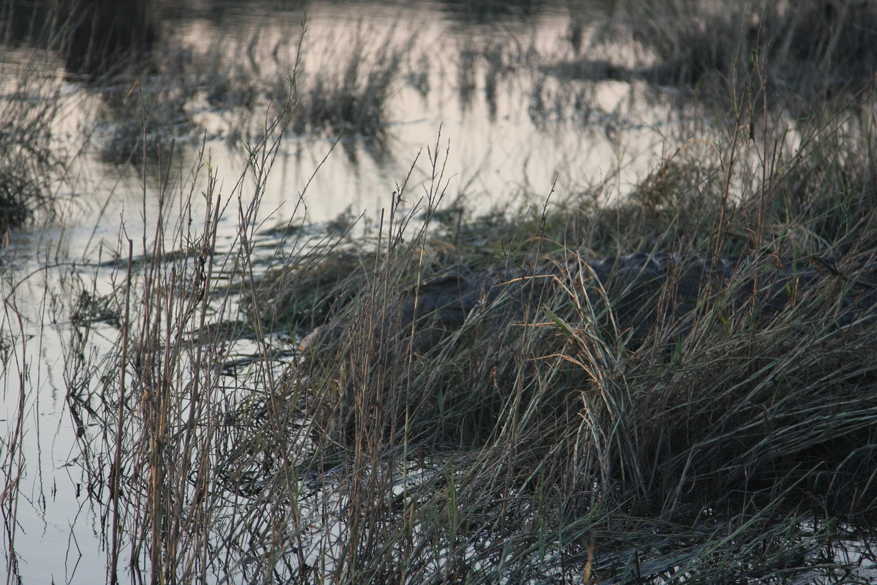 [28610] 2016_07_02_11_35_39_Africa_Canon_EOS_40D_IMG__00190.jpg