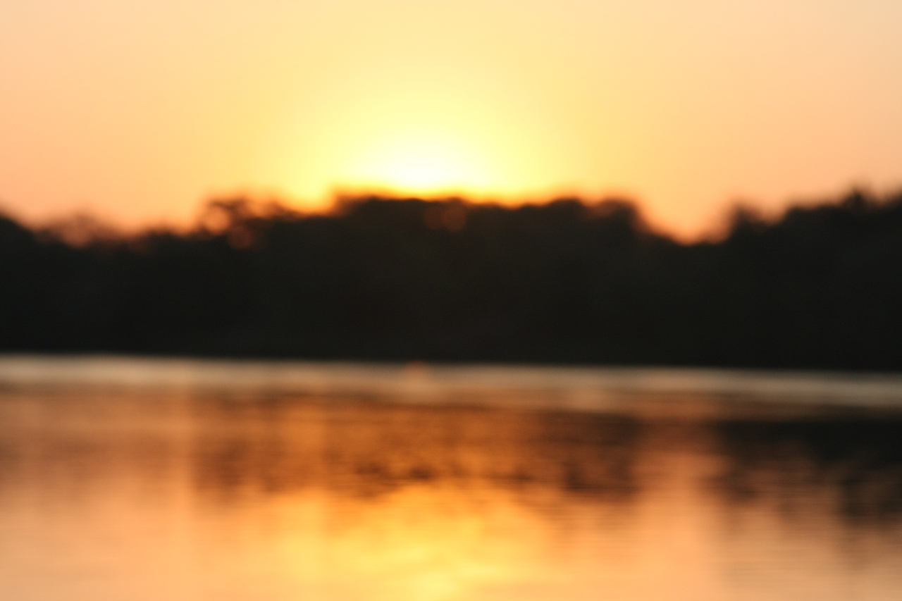 [28673] 2016_07_02_11_40_54_Africa_Canon_EOS_40D_IMG__12198.jpg