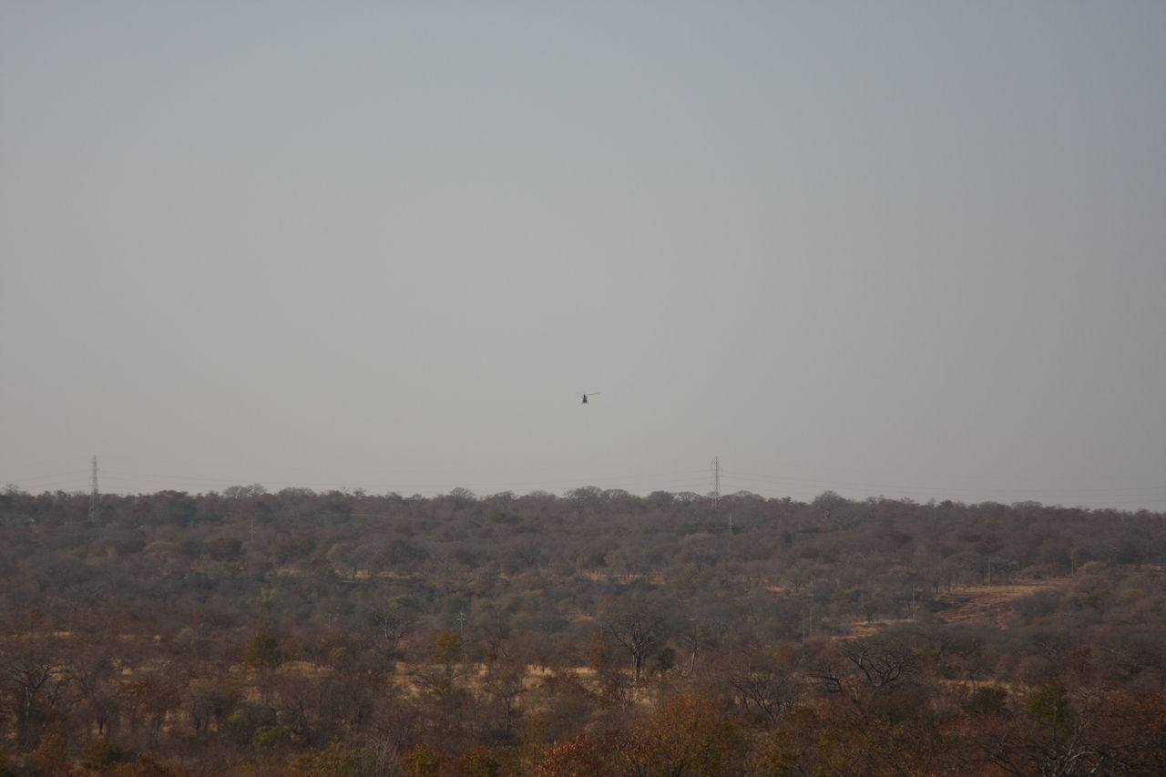 [29185] 2016_07_03_02_31_46_Africa_Canon_EOS_40D_IMG__00480.jpg