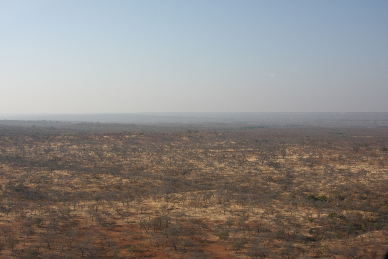 [29258] 2016_07_03_02_57_17_Africa_Canon_EOS_40D_IMG__05510.jpg