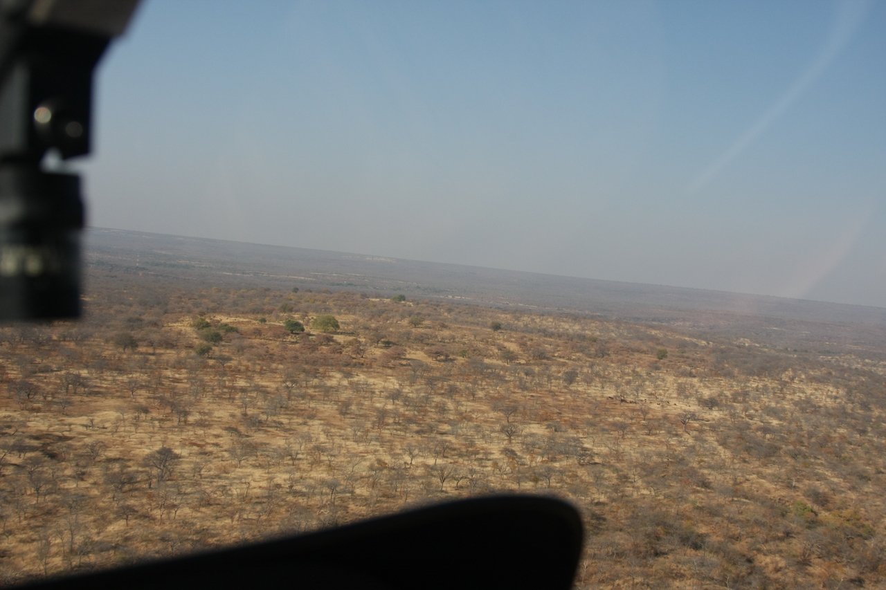 [29262] 2016_07_03_02_57_22_Africa_Canon_EOS_40D_IMG__12968.jpg