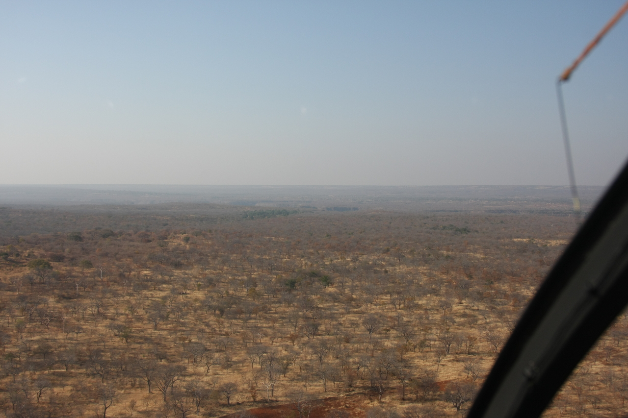 [29263] 2016_07_03_02_57_29_Africa_Canon_EOS_40D_IMG__00702.jpg