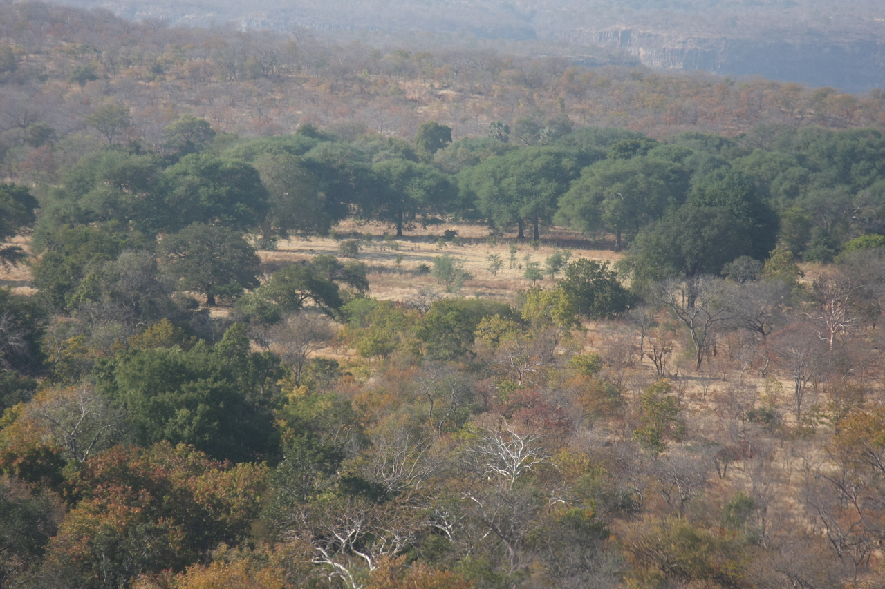 [29271] 2016_07_03_02_58_04_Africa_Canon_EOS_40D_IMG__13001.jpg