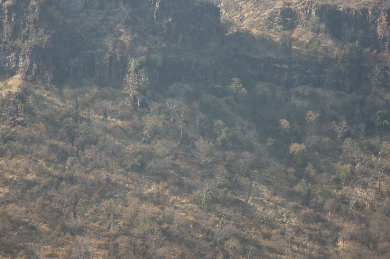 [29283] 2016_07_03_02_58_37_Africa_Canon_EOS_40D_IMG__13045.jpg