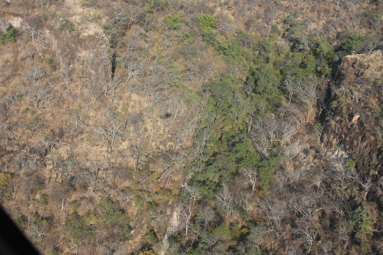 [29469] 2016_07_03_03_00_44_Africa_Canon_EOS_40D_IMG__00051.jpg