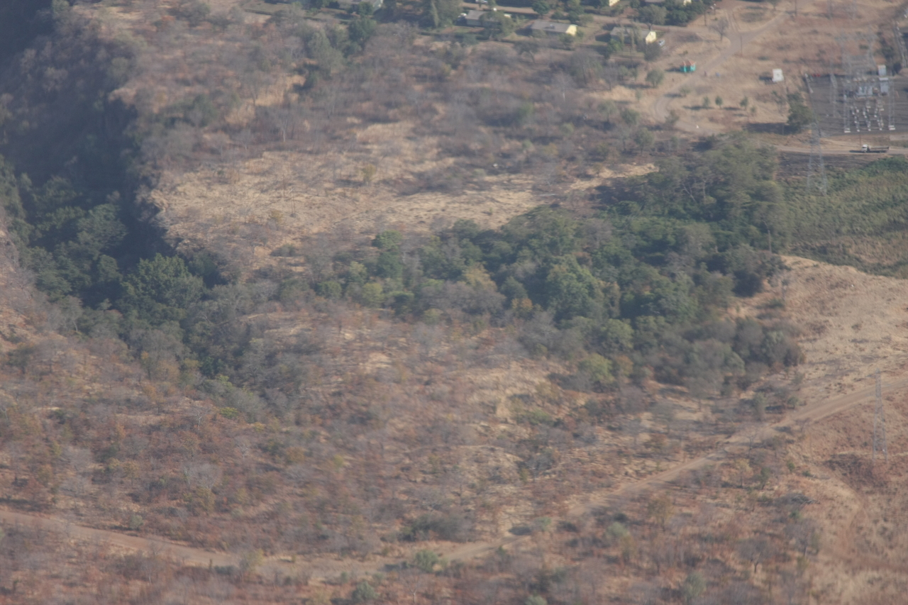 [29558] 2016_07_03_03_04_47_Africa_Canon_EOS_40D_IMG__04912.jpg