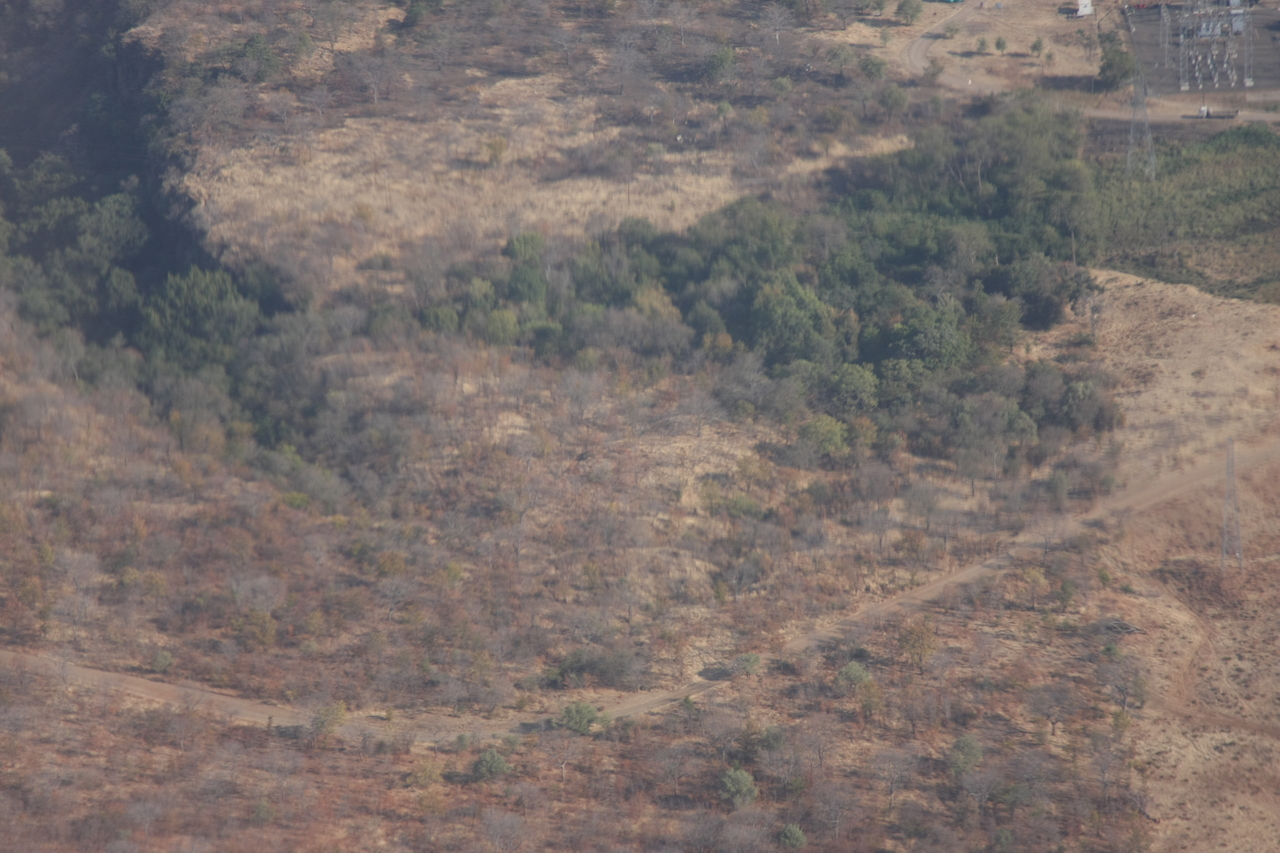 [29562] 2016_07_03_03_04_48_Africa_Canon_EOS_40D_IMG__04913.jpg