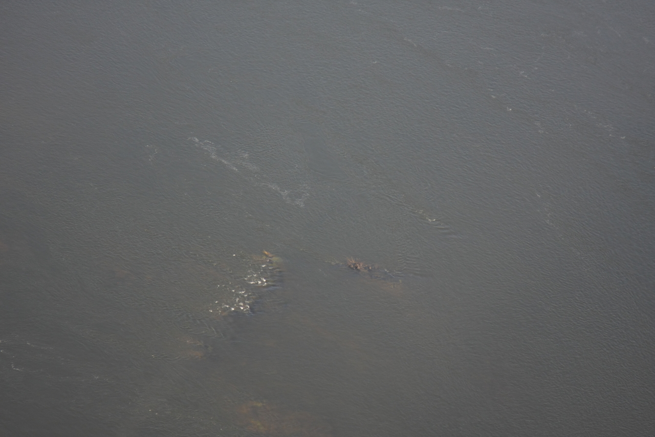 [30165] 2016_07_03_03_10_46_Africa_Canon_EOS_40D_IMG__12583.jpg