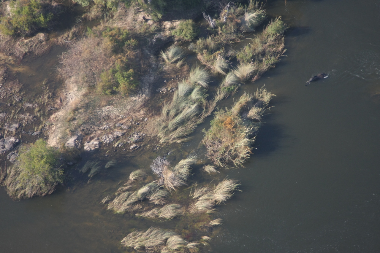 [30166] 2016_07_03_03_10_54_Africa_Canon_EOS_40D_IMG__00307.jpg