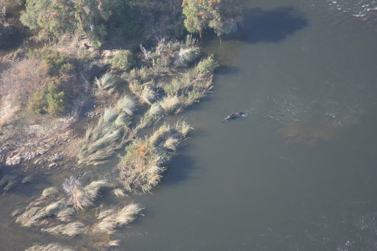 [30171] 2016_07_03_03_10_54_Africa_Canon_EOS_40D_IMG__05139.jpg