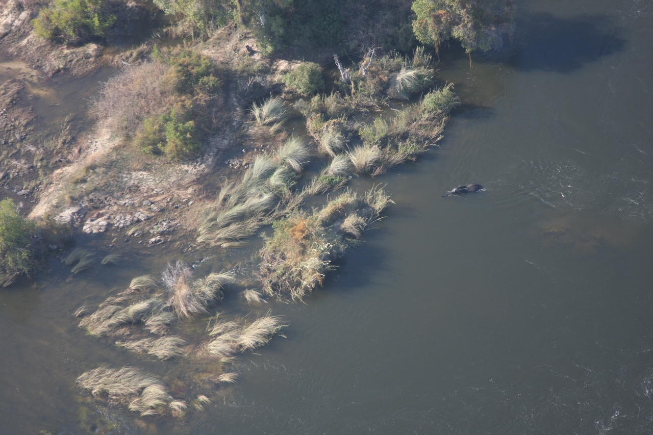 [30176] 2016_07_03_03_10_55_Africa_Canon_EOS_40D_IMG__00311.jpg