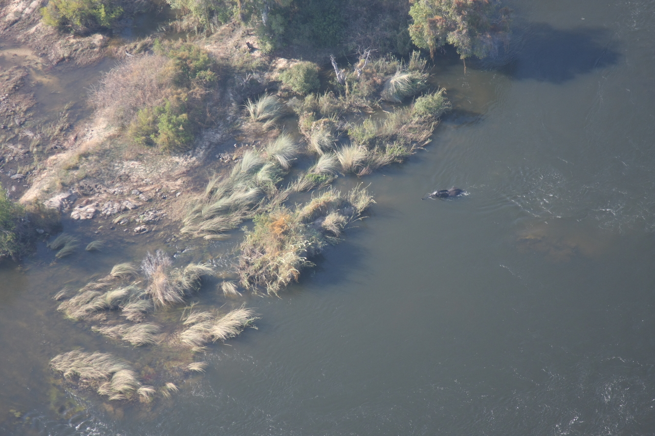 [30177] 2016_07_03_03_10_55_Africa_Canon_EOS_40D_IMG__00312.jpg