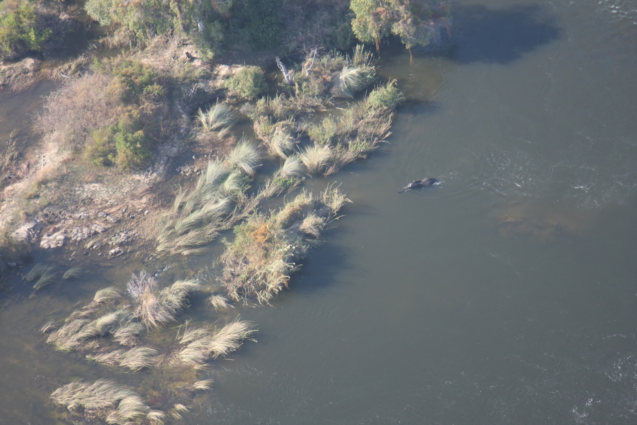 [30181] 2016_07_03_03_10_55_Africa_Canon_EOS_40D_IMG__12587.jpg