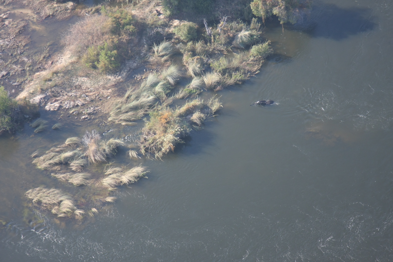 [30185] 2016_07_03_03_10_56_Africa_Canon_EOS_40D_IMG__05144.jpg