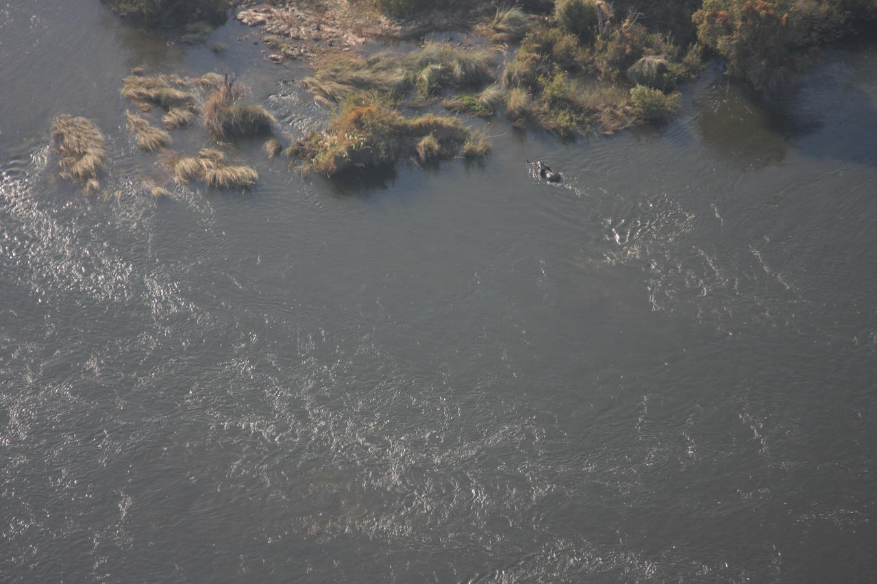 [30190] 2016_07_03_03_11_00_Africa_Canon_EOS_40D_IMG__05145.jpg