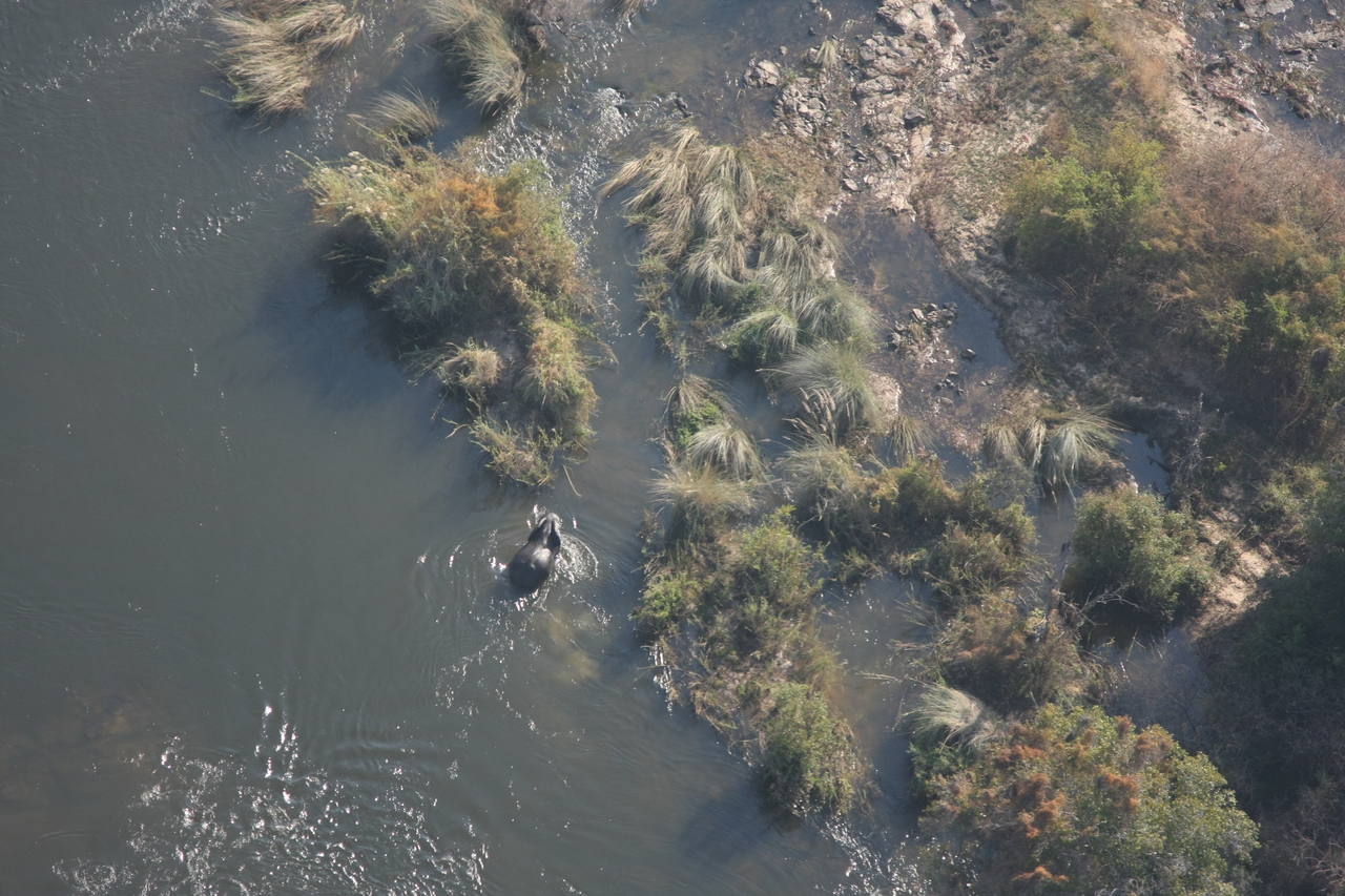 [30204] 2016_07_03_03_11_09_Africa_Canon_EOS_40D_IMG__12597.jpg