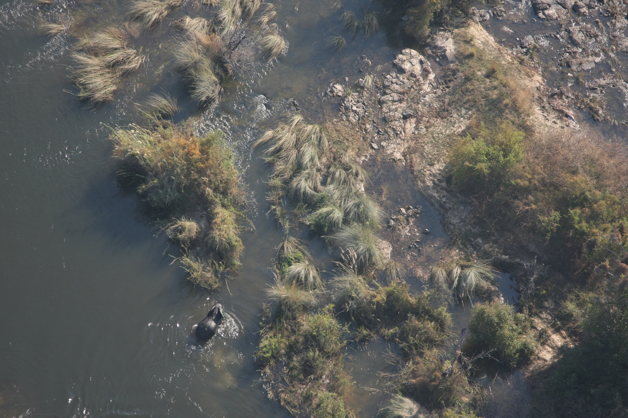 [30208] 2016_07_03_03_11_10_Africa_Canon_EOS_40D_IMG__05151.jpg