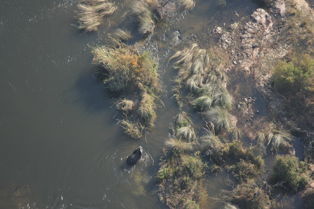 [30210] 2016_07_03_03_11_10_Africa_Canon_EOS_40D_IMG__05153.jpg