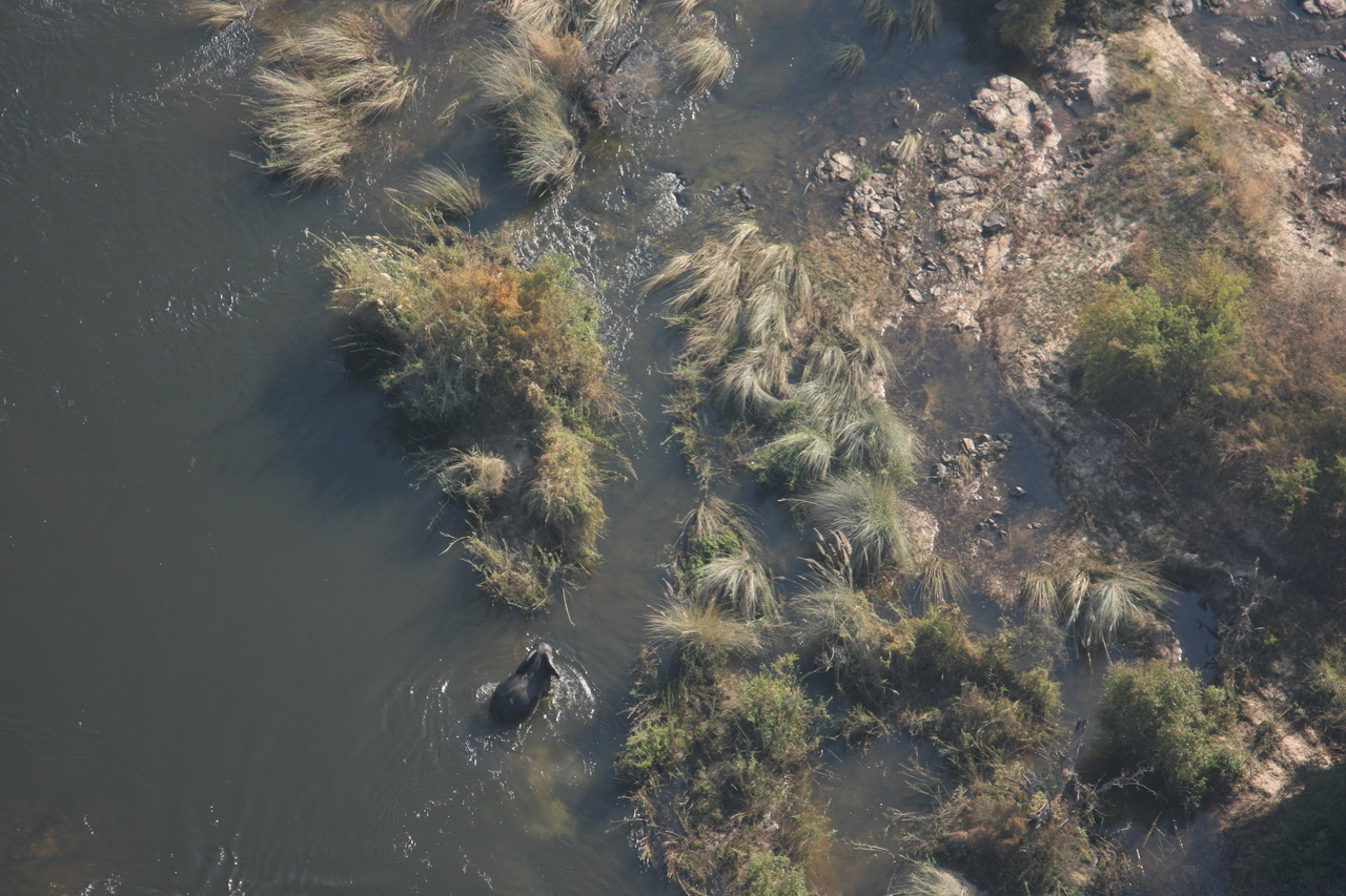 [30212] 2016_07_03_03_11_10_Africa_Canon_EOS_40D_IMG__12599.jpg