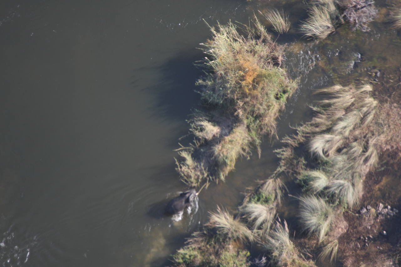 [30221] 2016_07_03_03_11_12_Africa_Canon_EOS_40D_IMG__05157.jpg