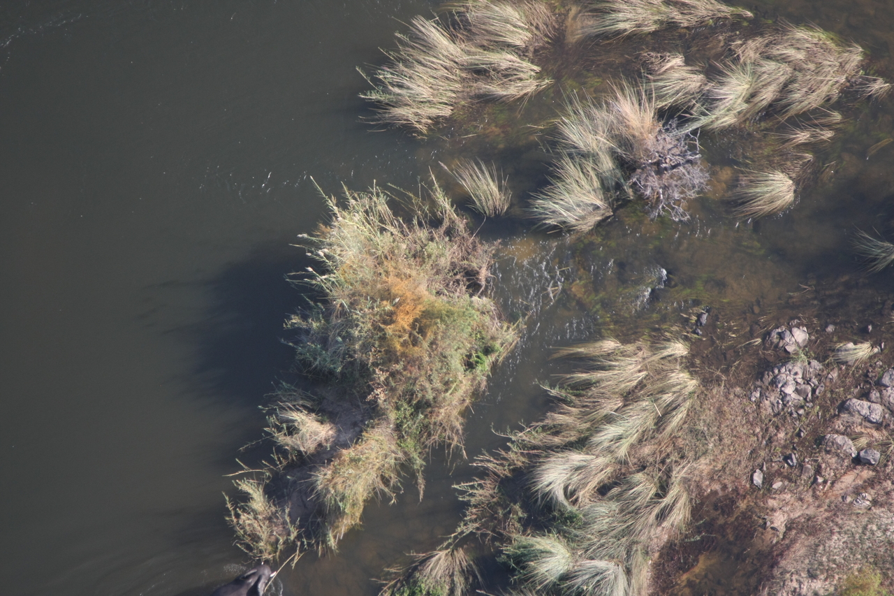 [30225] 2016_07_03_03_11_12_Africa_Canon_EOS_40D_IMG__12605.jpg