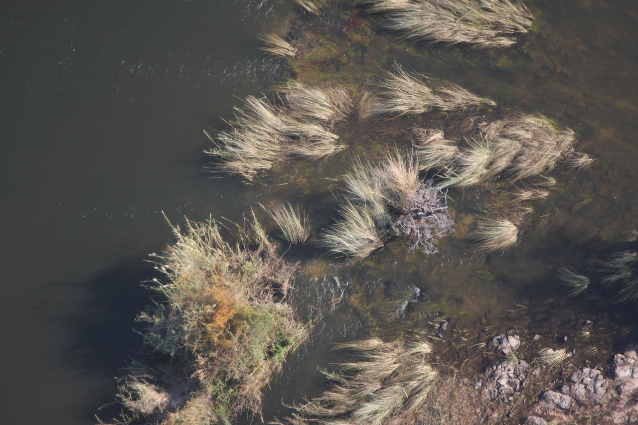 [30226] 2016_07_03_03_11_13_Africa_Canon_EOS_40D_IMG__00329.jpg