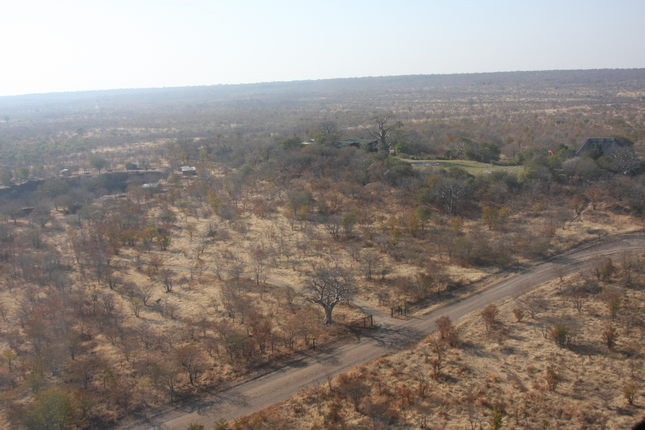 [30296] 2016_07_03_03_13_41_Africa_Canon_EOS_40D_IMG__12631.jpg