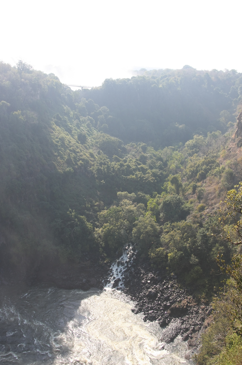 [30457] 2016_07_03_03_53_48_Africa_Canon_EOS_40D_IMG__12683.jpg