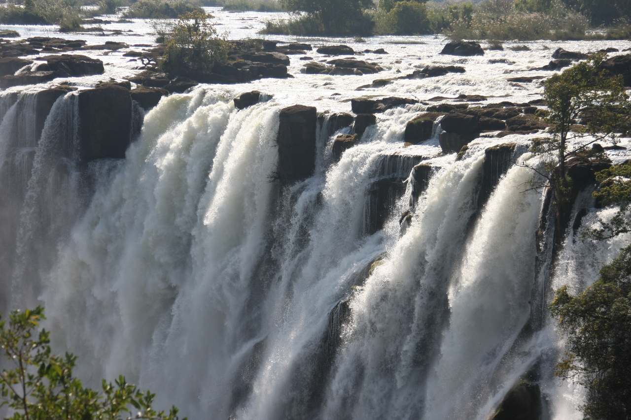 [31264] 2016_07_03_08_34_29_Africa_Canon_EOS_40D_IMG__05519.jpg