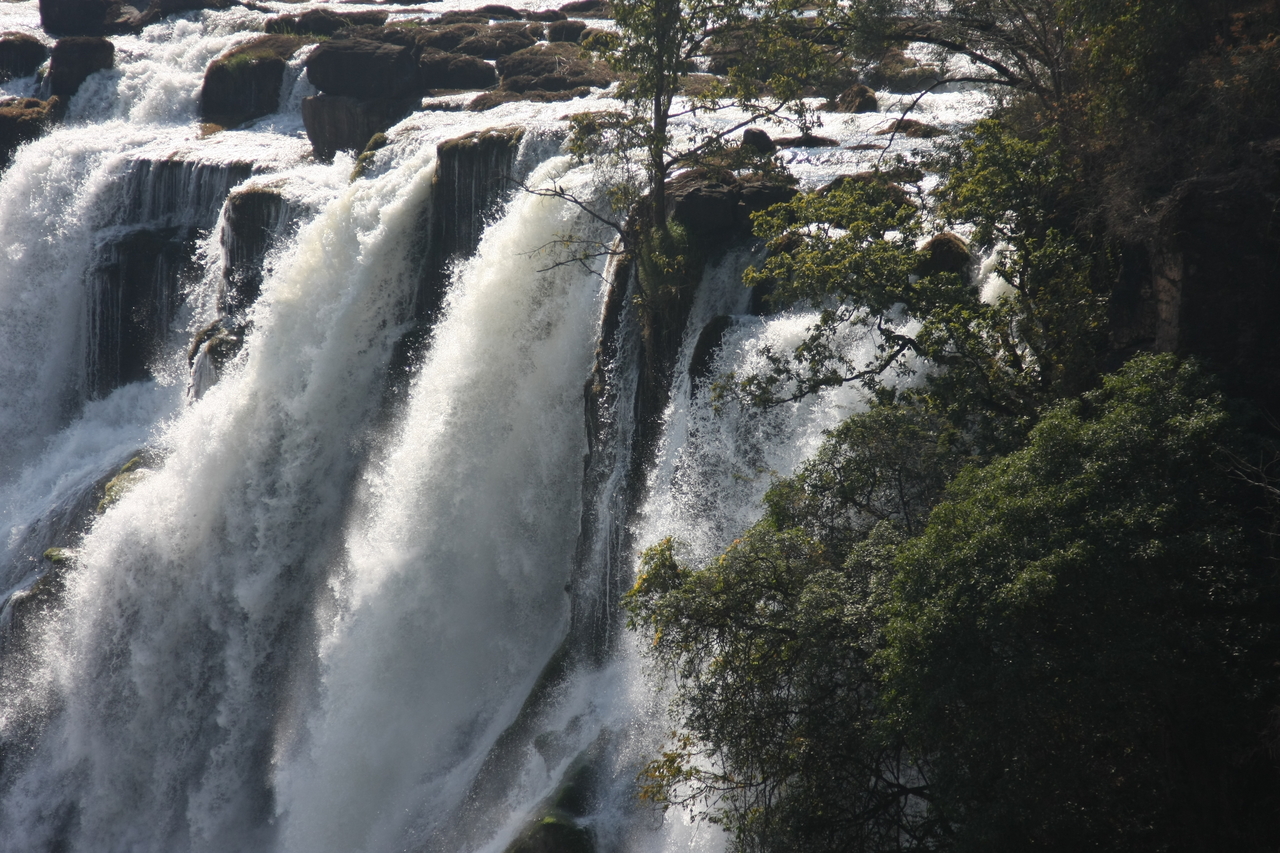 [31284] 2016_07_03_08_34_44_Africa_Canon_EOS_40D_IMG__12972.jpg