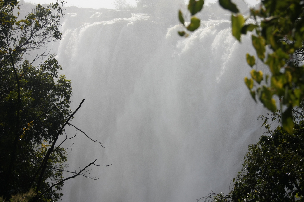 [31321] 2016_07_03_08_37_49_Africa_Canon_EOS_40D_IMG__12975.jpg