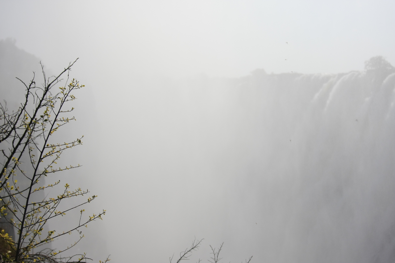 [31404] 2016_07_03_08_42_17_Africa_Canon_EOS_40D_IMG__00712.jpg