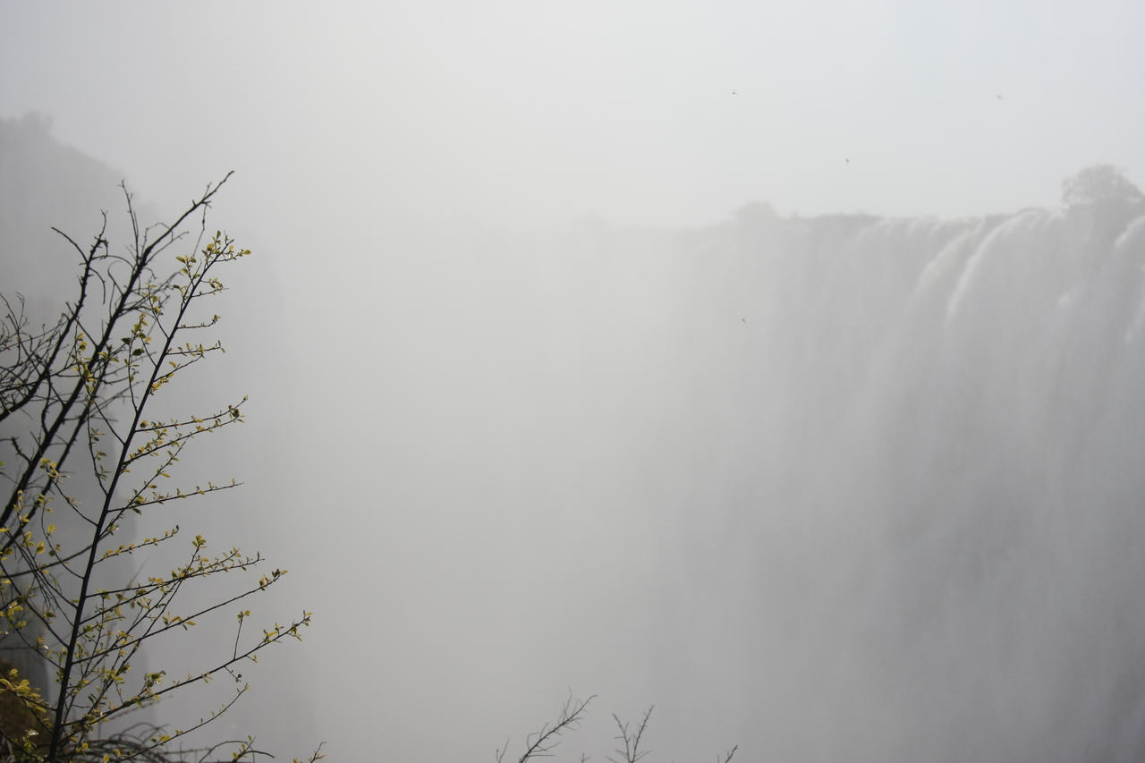 [31407] 2016_07_03_08_42_18_Africa_Canon_EOS_40D_IMG__00714.jpg