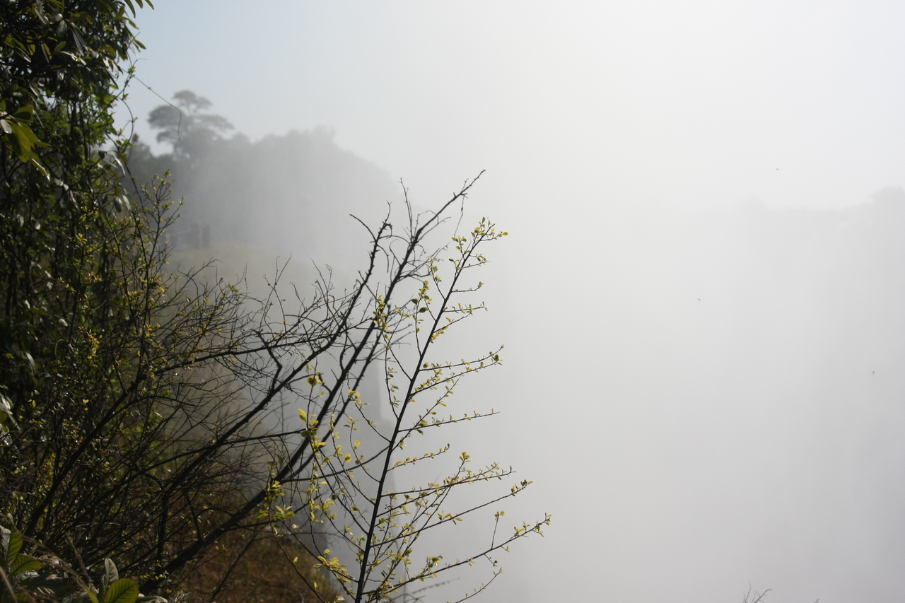 [31413] 2016_07_03_08_42_22_Africa_Canon_EOS_40D_IMG__00715.jpg