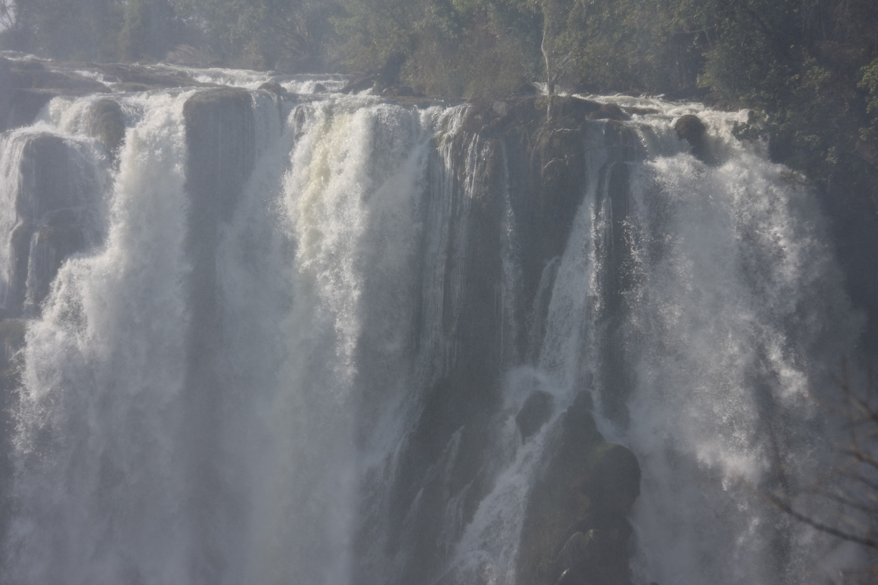 [31446] 2016_07_03_08_44_19_Africa_Canon_EOS_40D_IMG__05546.jpg