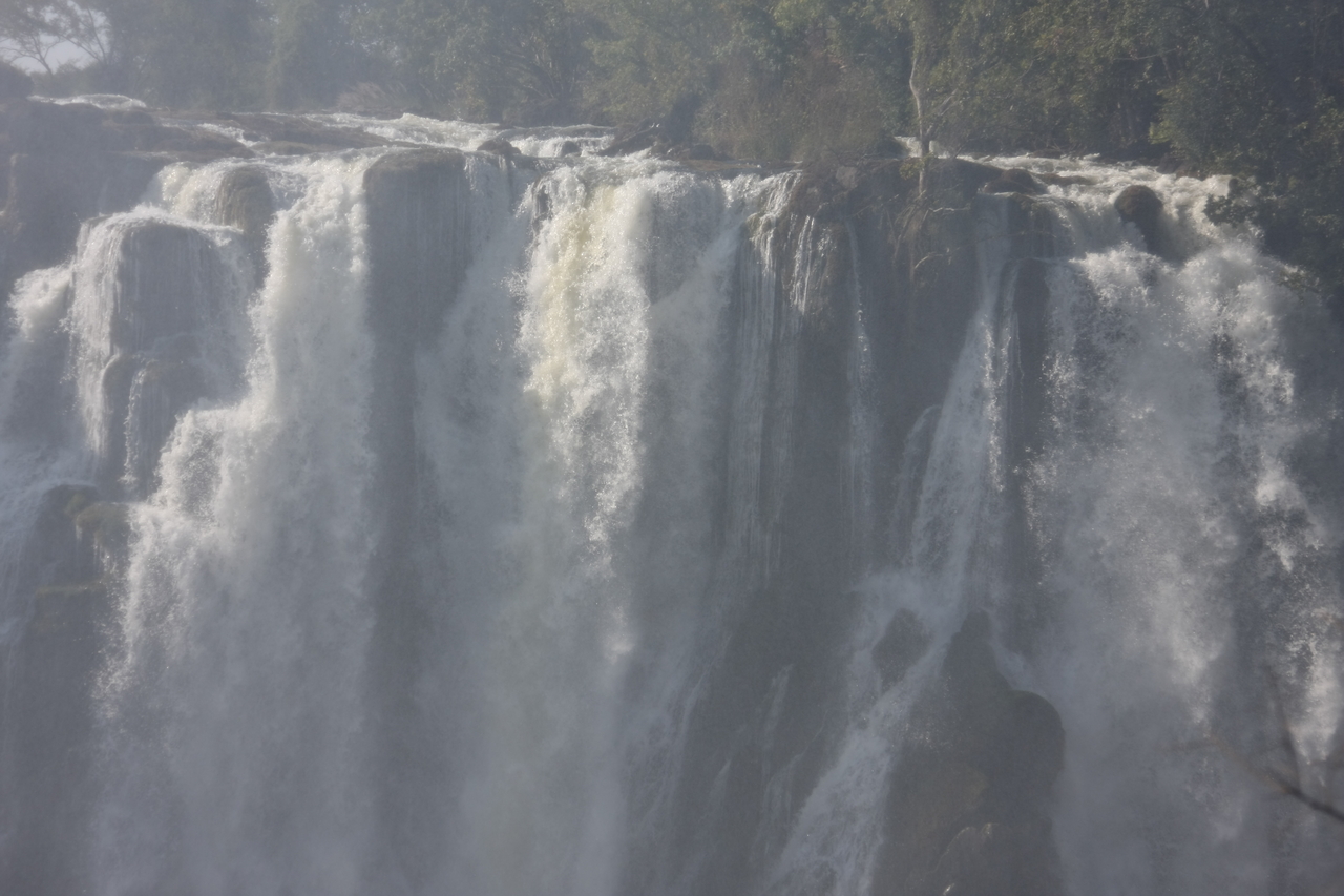 [31448] 2016_07_03_08_44_19_Africa_Canon_EOS_40D_IMG__05548.jpg