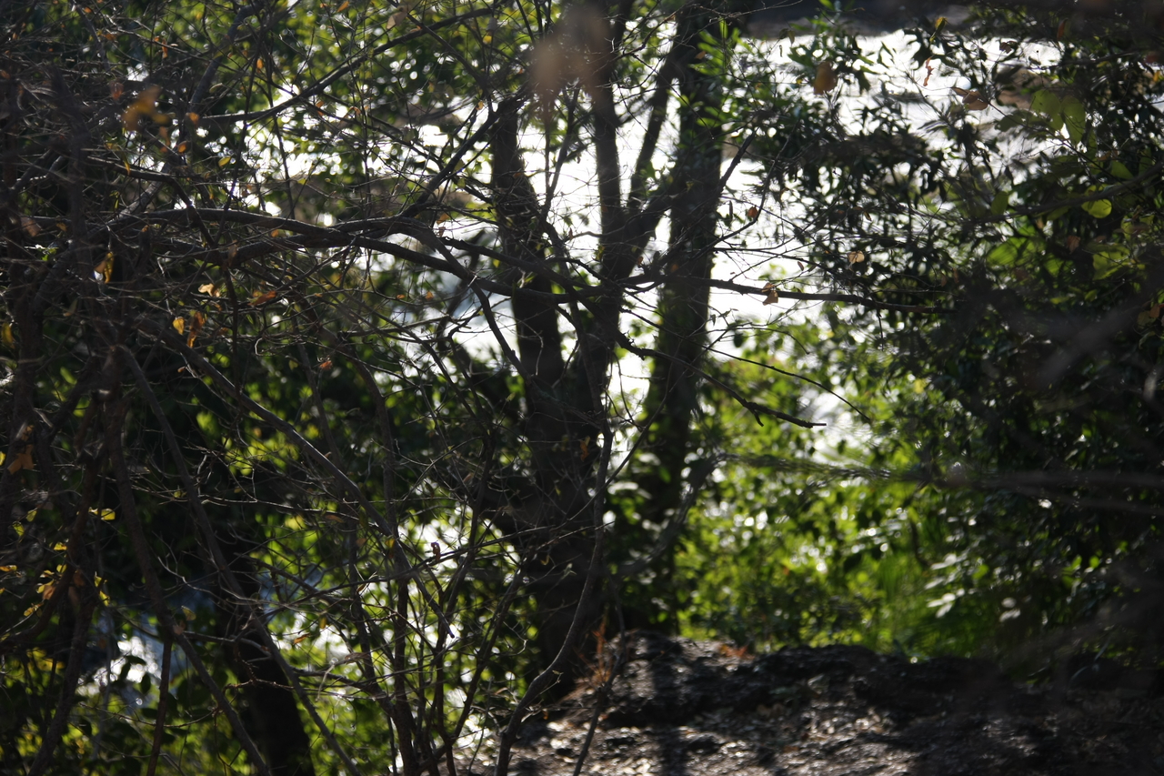 [31844] 2016_07_03_09_46_32_Africa_Canon_EOS_40D_IMG__13048.jpg