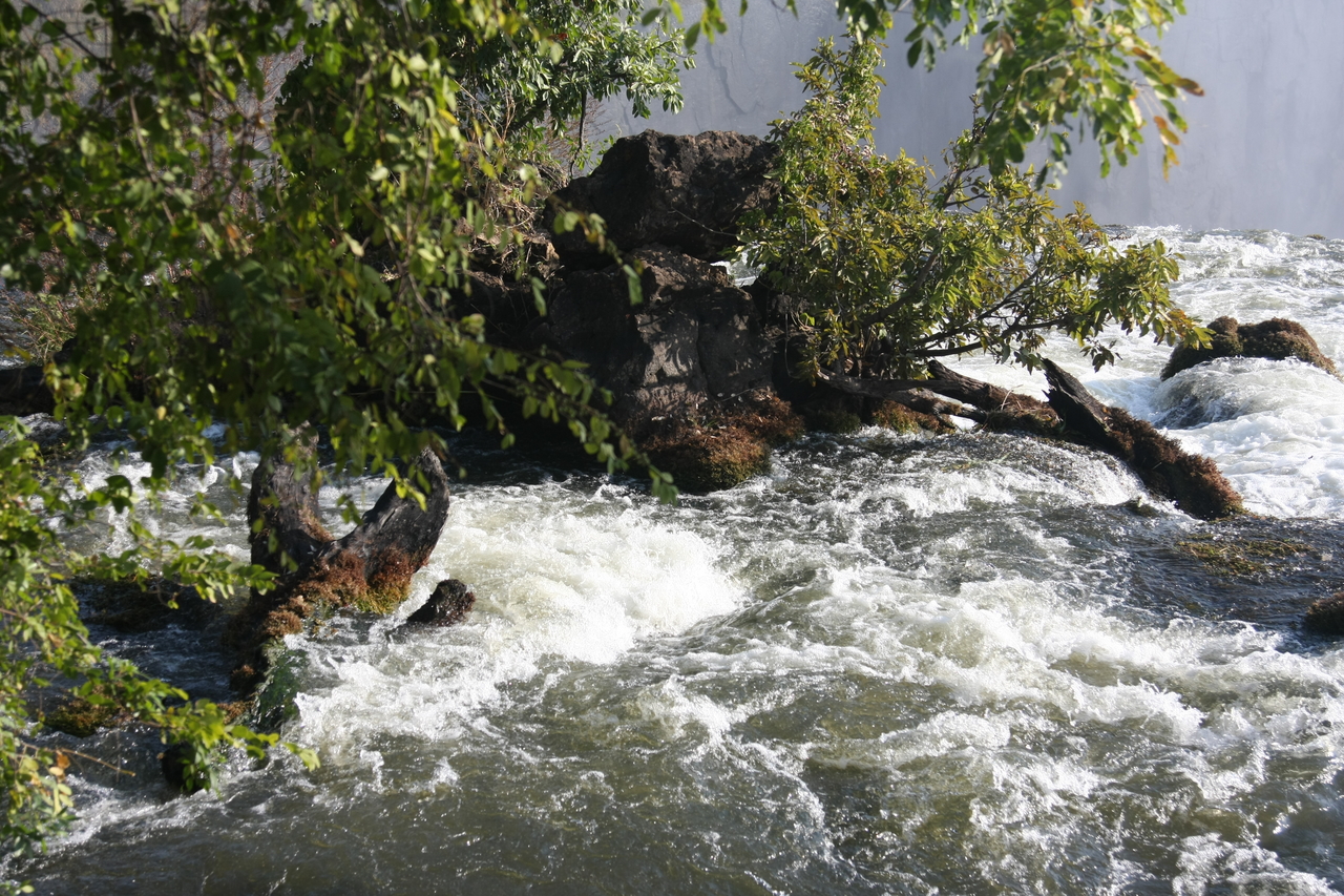 [31880] 2016_07_03_09_48_28_Africa_Canon_EOS_40D_IMG__00781.jpg