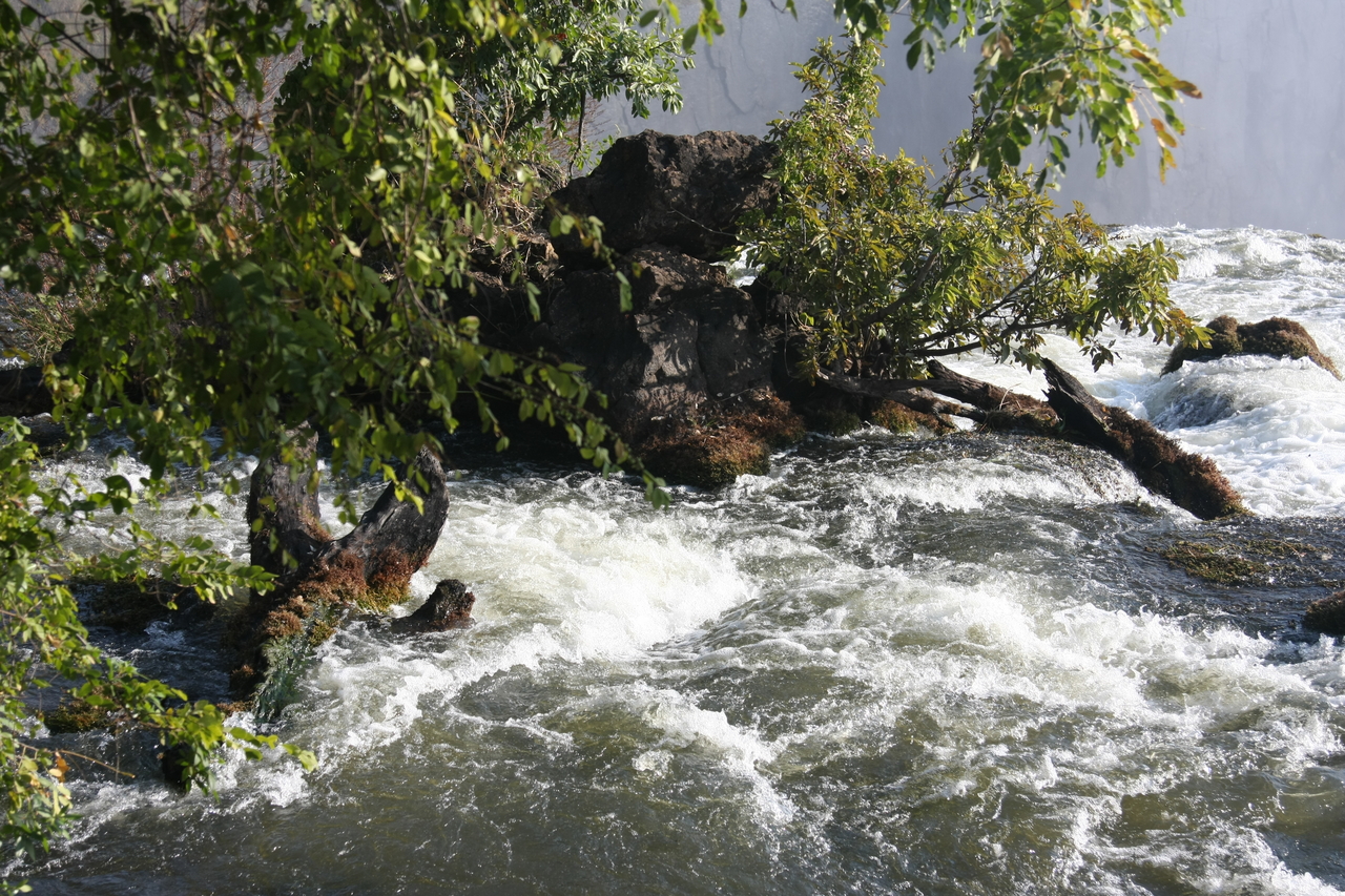 [31881] 2016_07_03_09_48_28_Africa_Canon_EOS_40D_IMG__00782.jpg