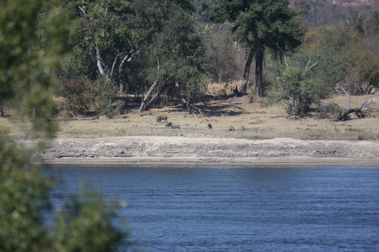 [32845] 2016_07_04_05_57_03_Africa_Canon_EOS_40D_IMG__13465.jpg