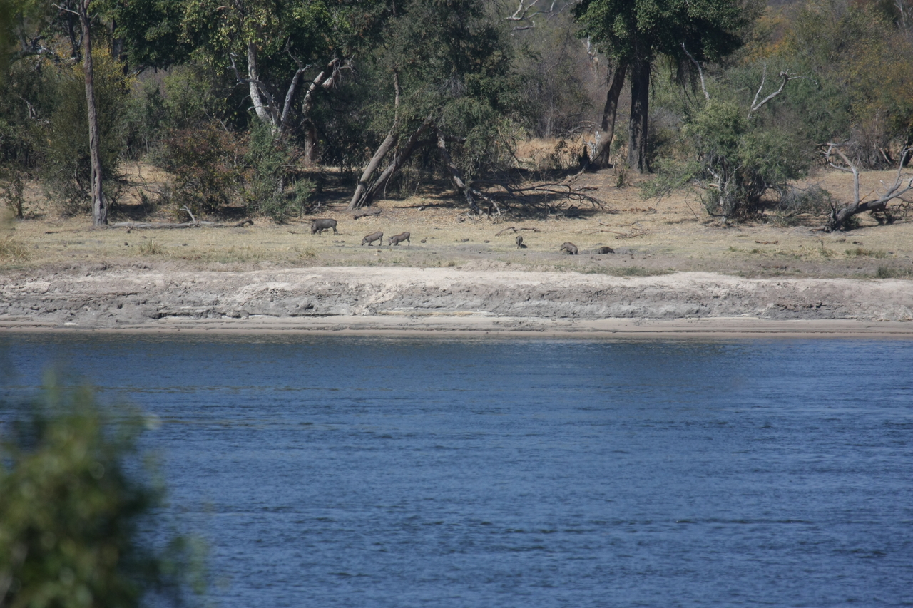 [32848] 2016_07_04_05_57_28_Africa_Canon_EOS_40D_IMG__06040.jpg