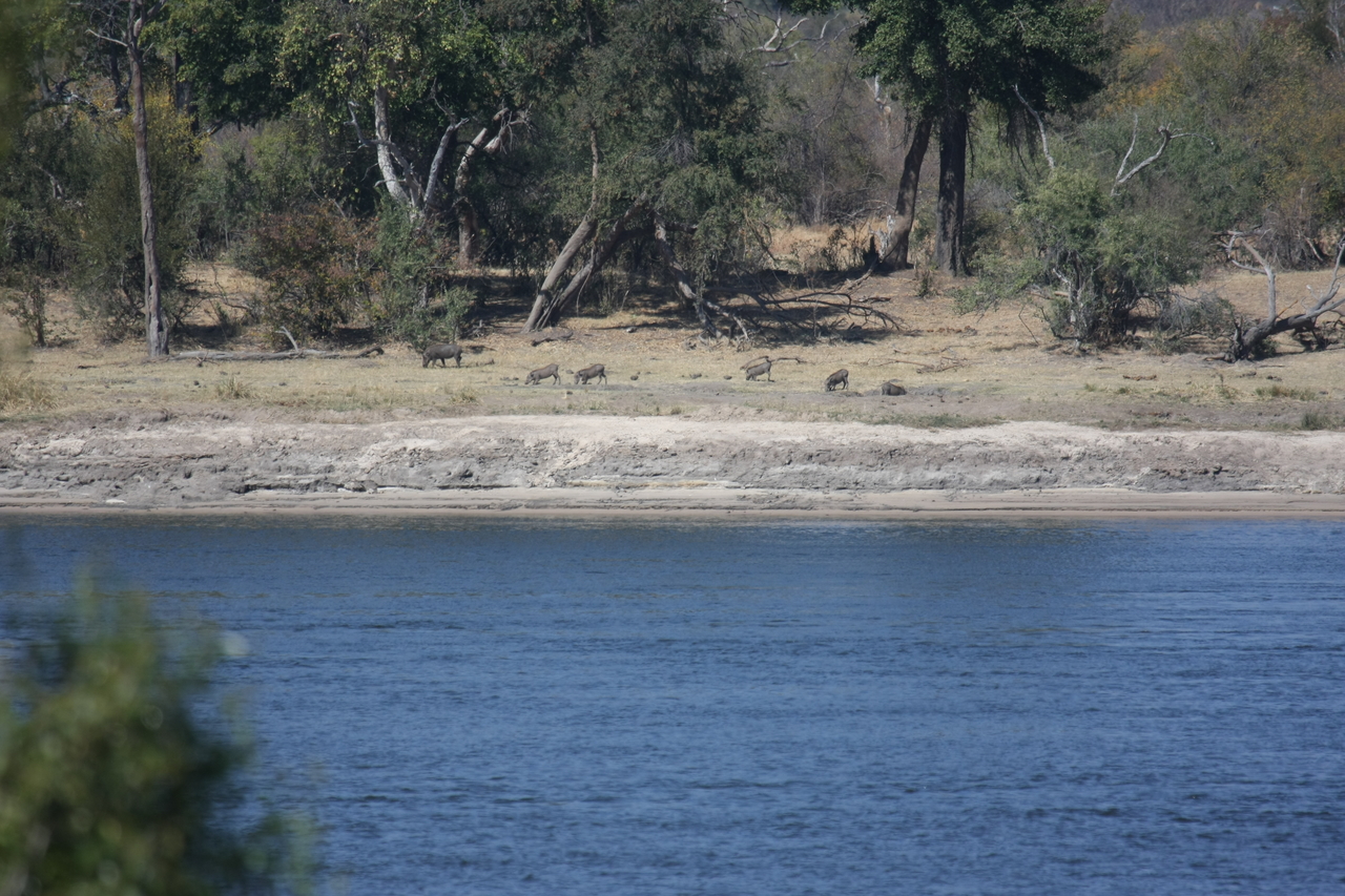 [32853] 2016_07_04_05_57_34_Africa_Canon_EOS_40D_IMG__06051.jpg