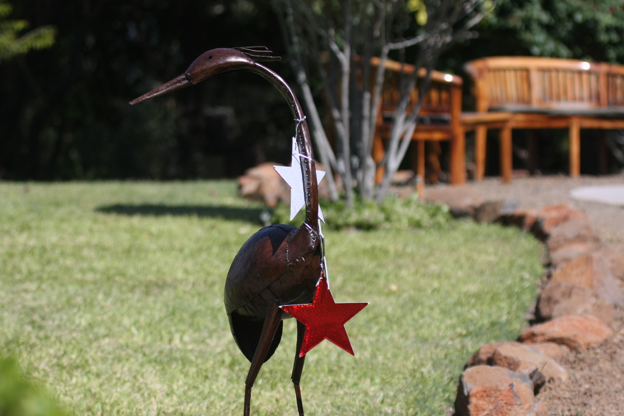 [32903] 2016_07_04_06_16_42_Africa_Canon_EOS_40D_IMG__00180.jpg