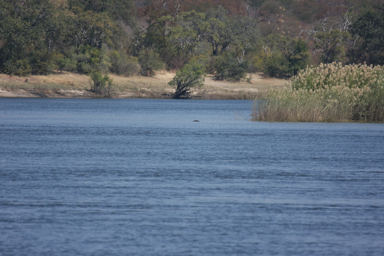 [32912] 2016_07_04_06_27_58_Africa_Canon_EOS_40D_IMG__00213.jpg